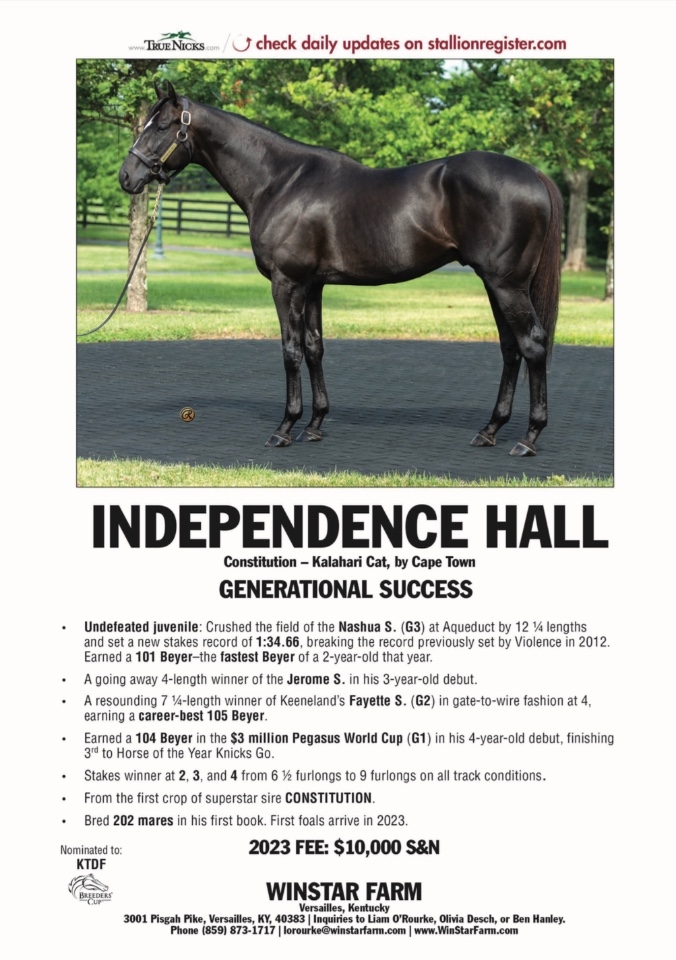 Track record setting broodmare in foal to Independence Hall 