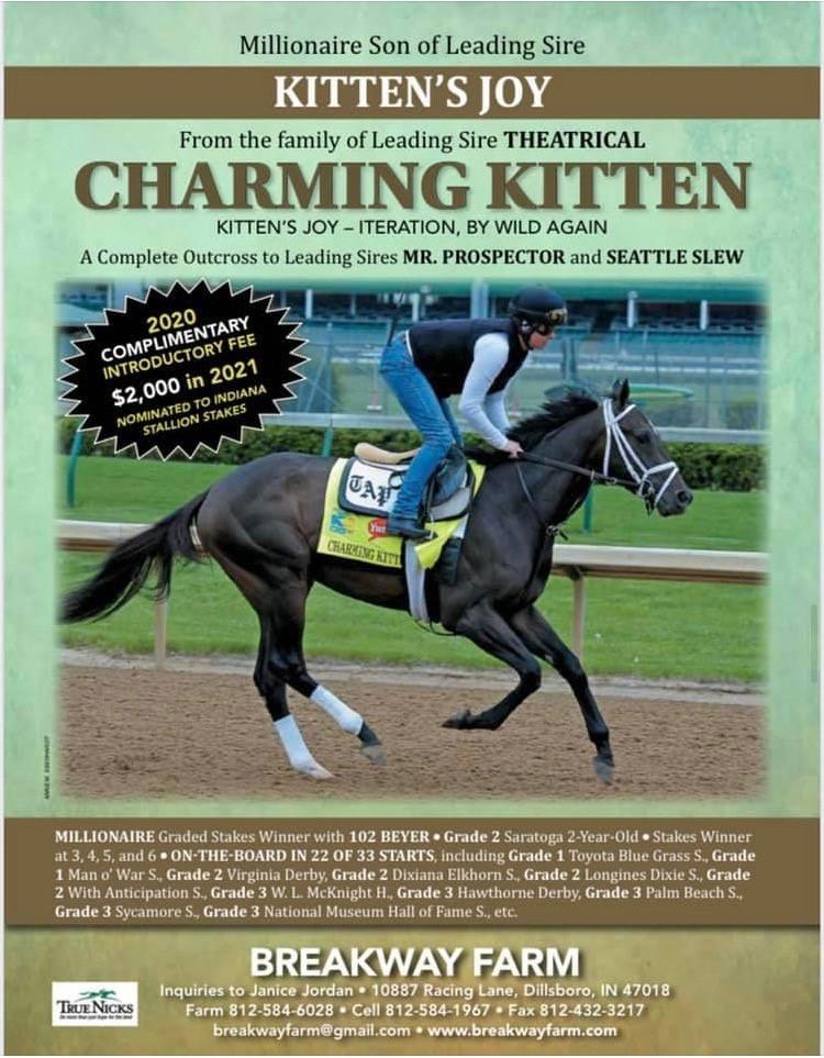 CHARMING KITTEN - 2020 LFSN Season - FREE to Approved Mares
